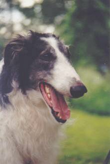 Photo:Charlotta Sevon